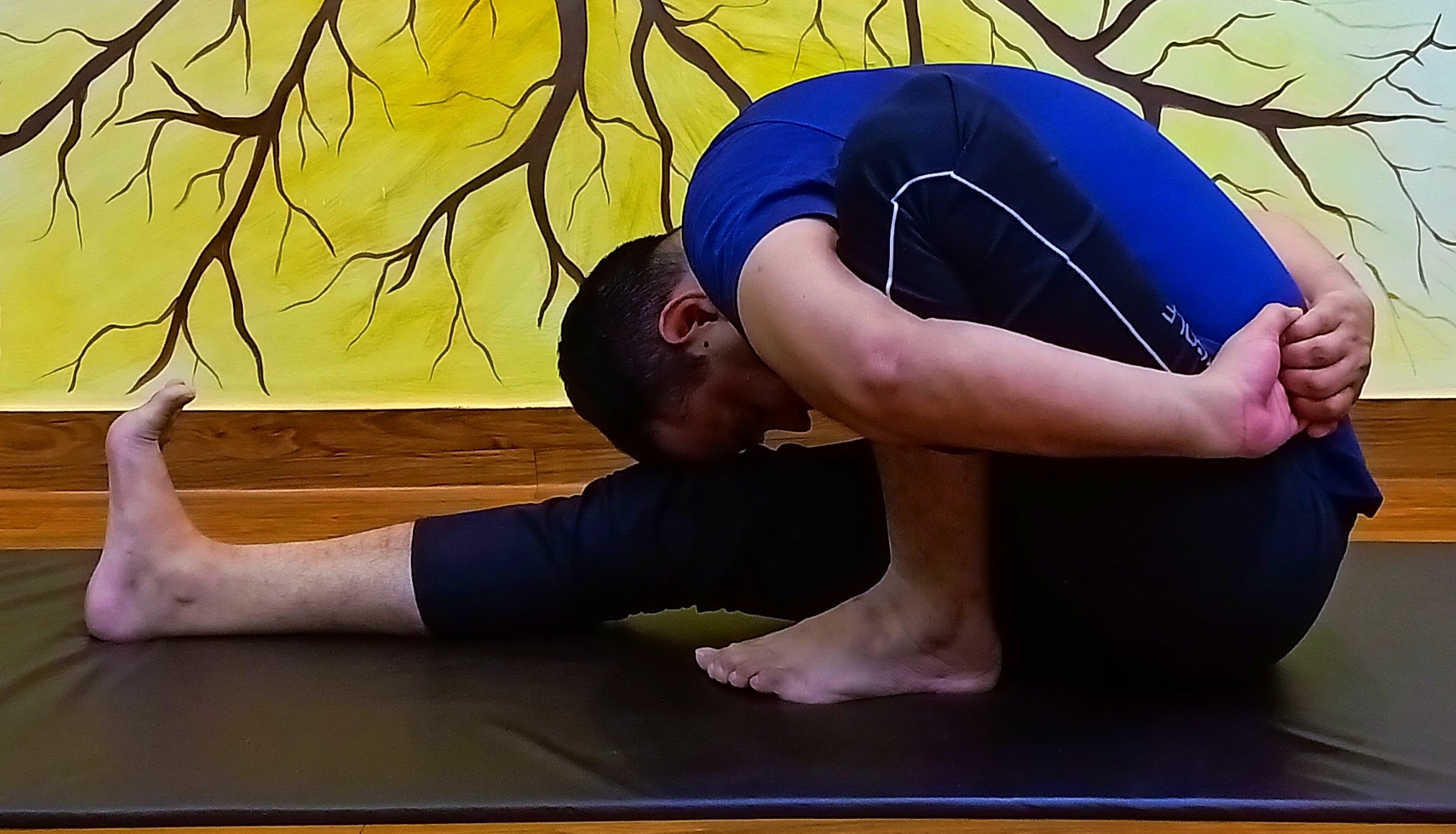 Advanced Yoga Poses | Yoga Pose Directory | Brett Larkin Yoga